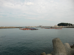 小島養魚場