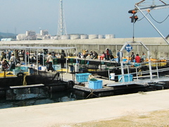 海上釣り堀　岬