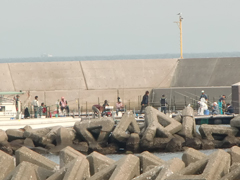 海上釣り堀　オーパ