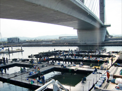 海上釣り堀　岬