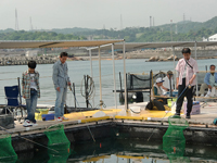 釣り開始