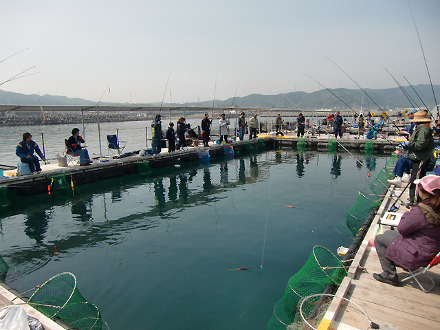 海上釣堀岬 海釣ぽーと田尻 西村喜社長インタビュー 海上釣堀navi 海上釣堀専門サイト